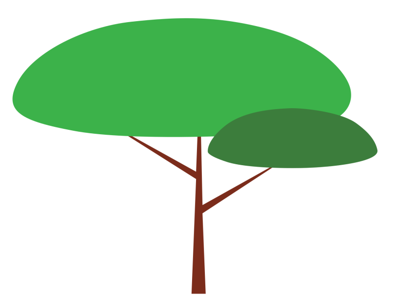 CareTree