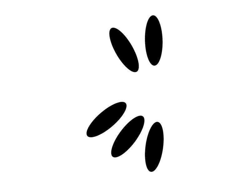 Kwala