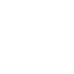 Google Ads Reports