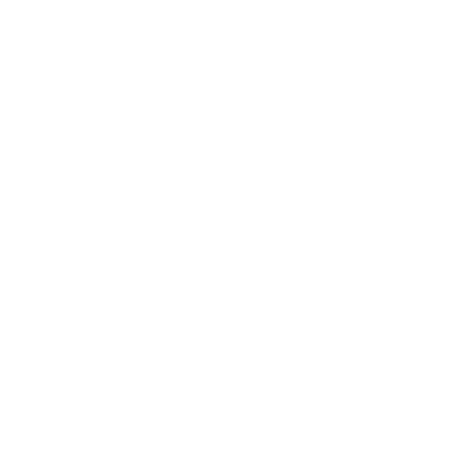 Google Ads Reports